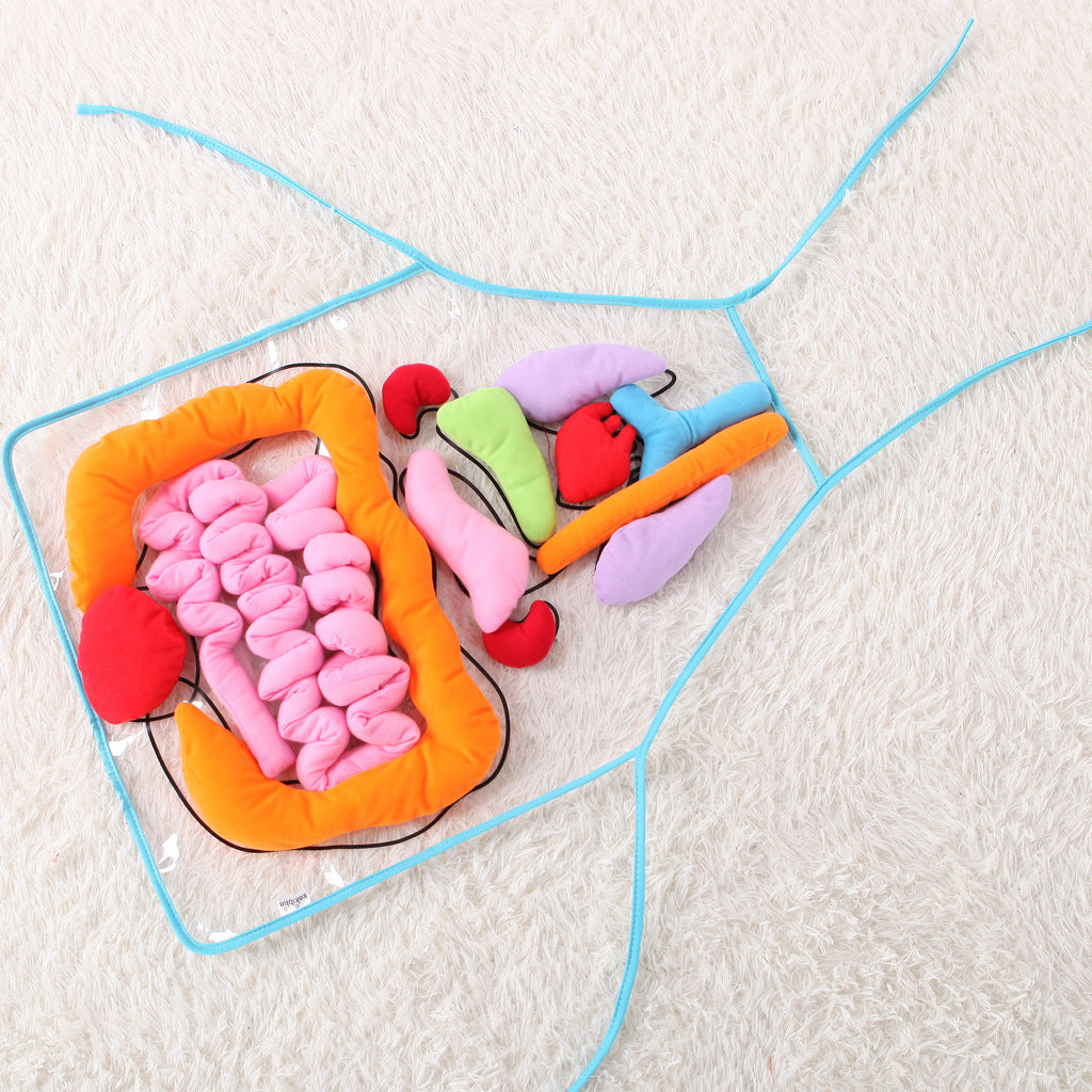 Kids Body Apron Toy - Educational Plush Anatomy Apron for Children