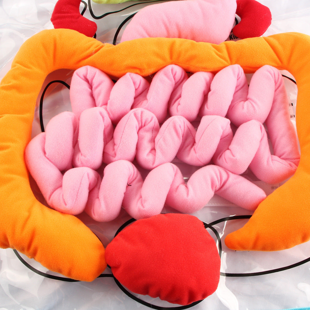 Kids Body Apron Toy - Educational Plush Anatomy Apron for Children