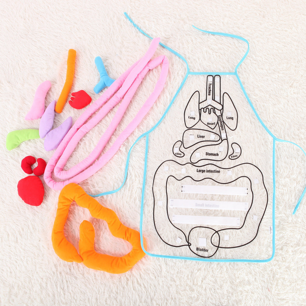 Kids Body Apron Toy - Educational Plush Anatomy Apron for Children