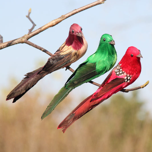 Landscaping Home Decoration Simulation Bird