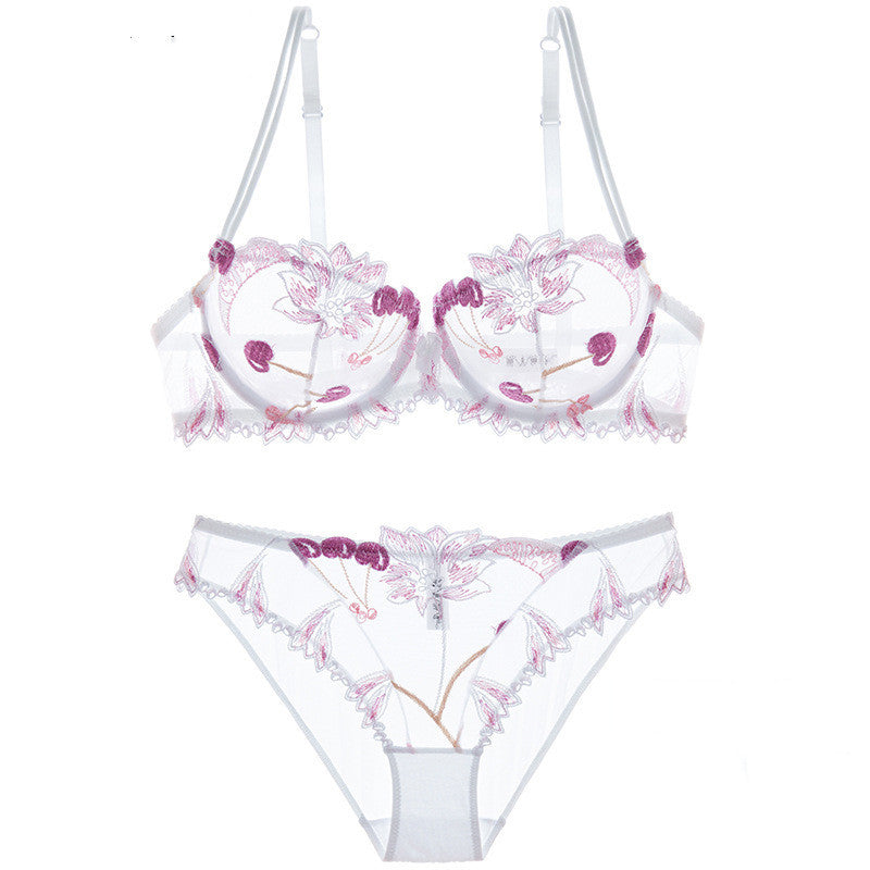 Women's Transparent Mesh Embroidered Bra and Underwear Set – Elegant Lace Design