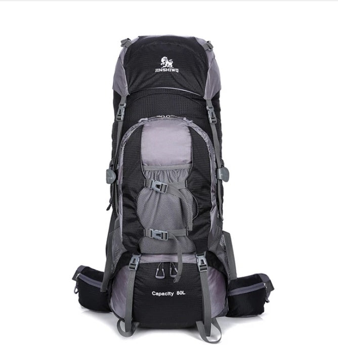 Traveling backpacks