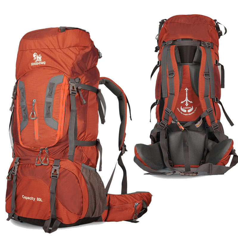 Traveling backpacks