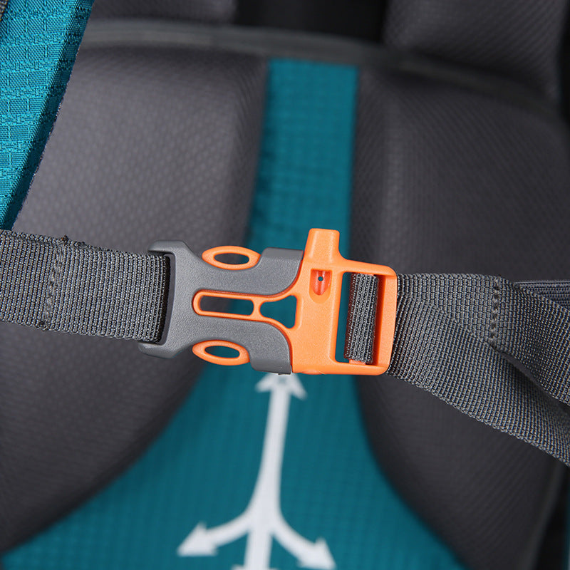 Traveling backpacks