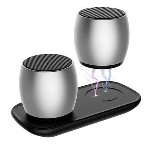 Two metallic speakers on a black tray with a white background.