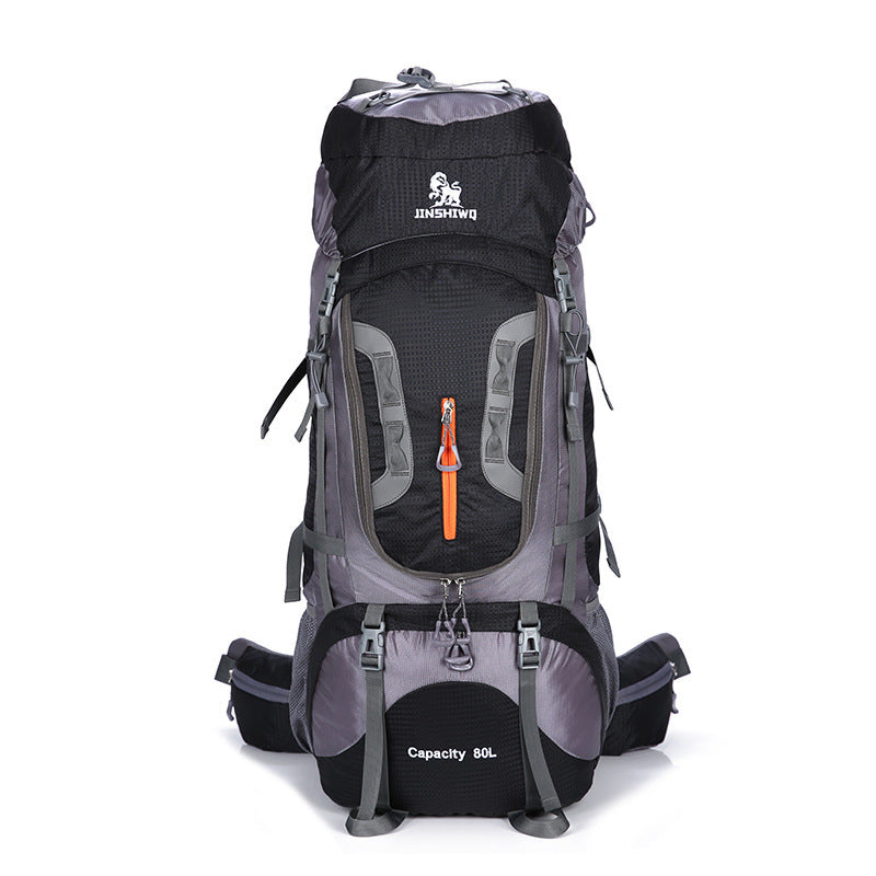 Traveling backpacks