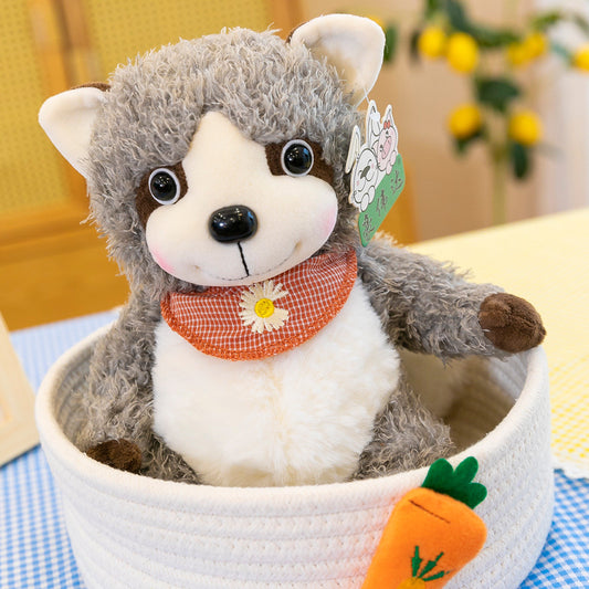 Raccoon Plush Dolls - Adorable Plush Toys