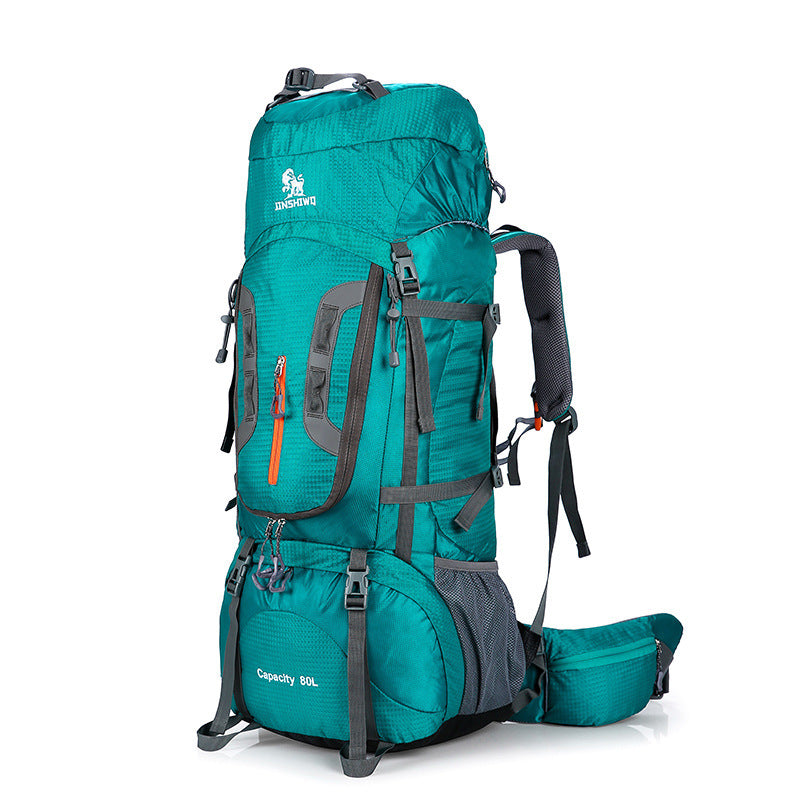 Traveling backpacks