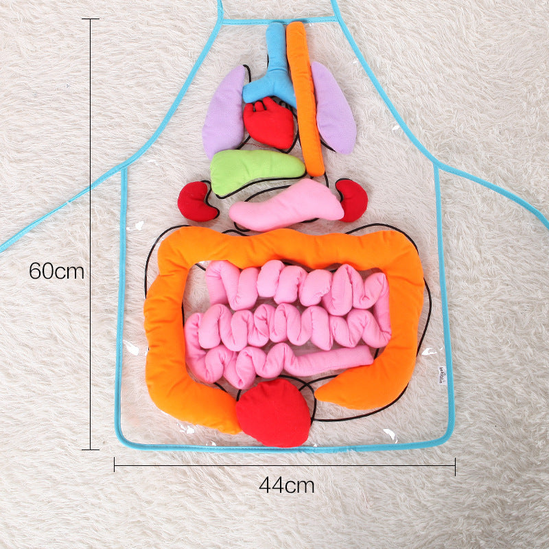 Kids Body Apron Toy - Educational Plush Anatomy Apron for Children