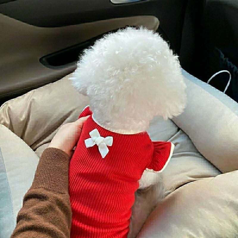 Cat and Small Dog Summer Clothes