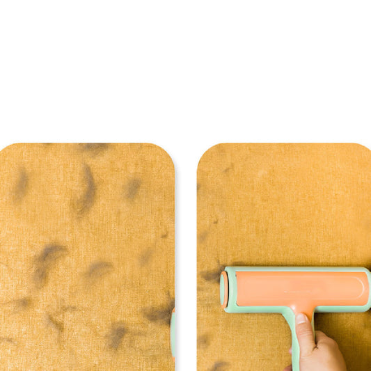 Two-Way Roller Hair Removal Brush: Effortless Pet Hair Cleaning