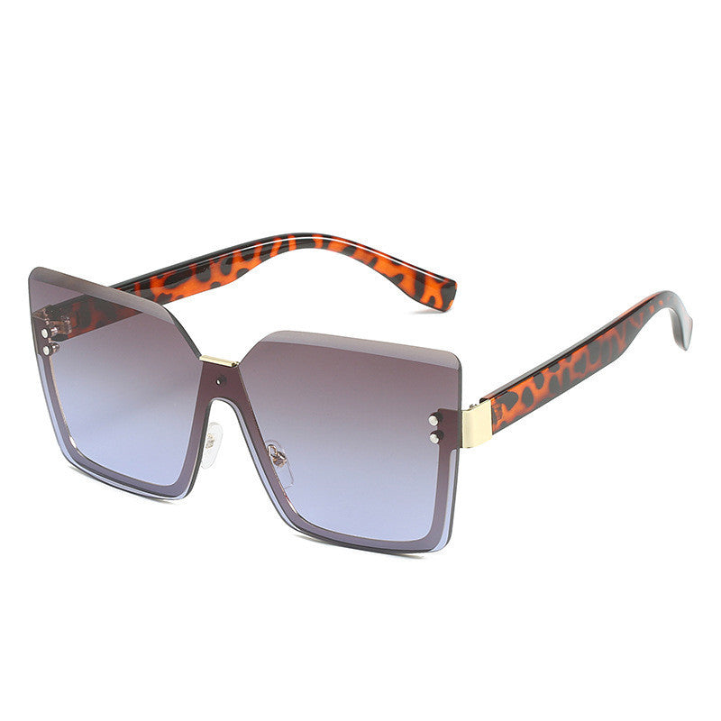 Sunglasses with leopard print arms on a white background