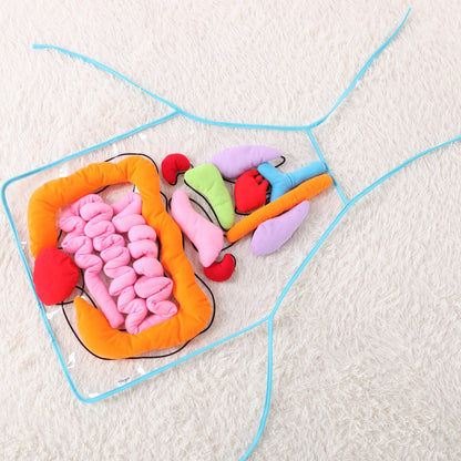 Kids Body Apron Toy - Educational Plush Anatomy Apron for Children