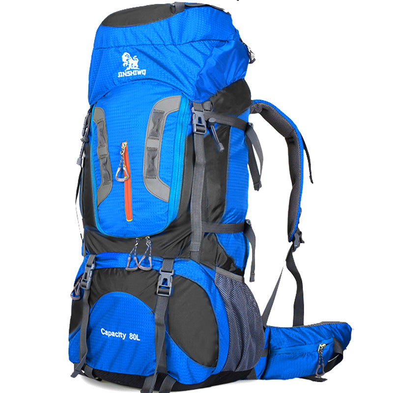 Traveling backpacks