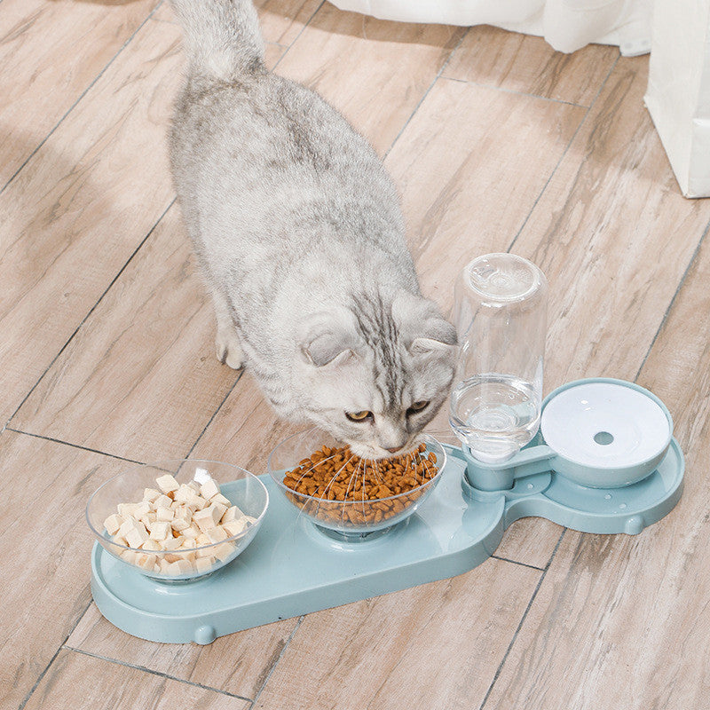Cat eating from a blue pet feeding station on a wooden floor