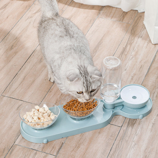 Cat eating from a blue pet feeding station on a wooden floor
