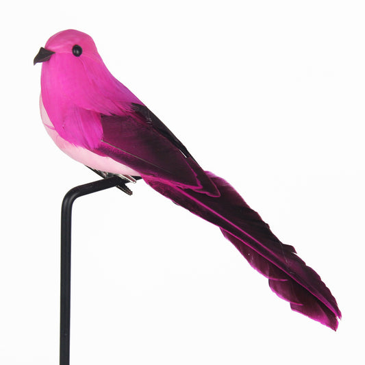 Landscaping Home Decoration Simulation Bird