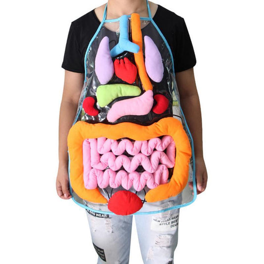 Kids Body Apron Toy - Educational Plush Anatomy Apron for Children