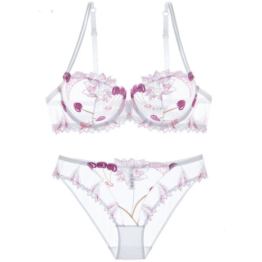 Women's Transparent Mesh Embroidered Bra and Underwear Set – Elegant Lace Design