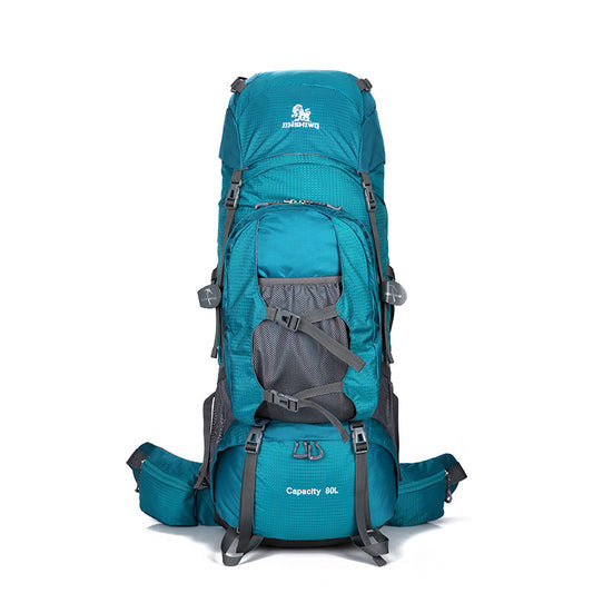 Traveling backpacks