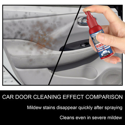 Cleaning And Maintenance Car Interior Mould Removal Spray