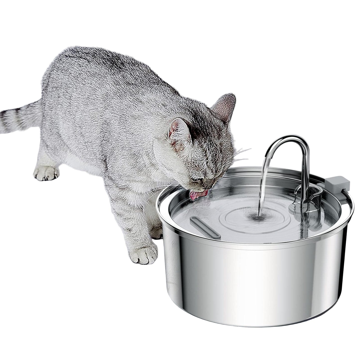 Cat drinking water from a stainless steel pet fountain on a white background