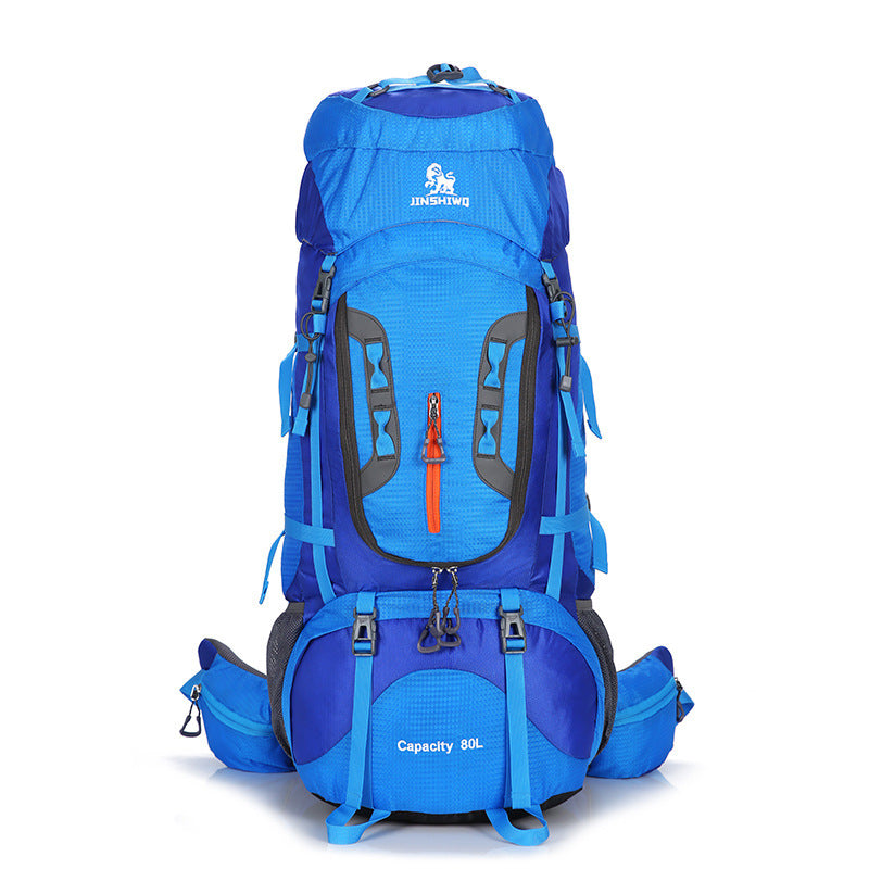 Traveling backpacks