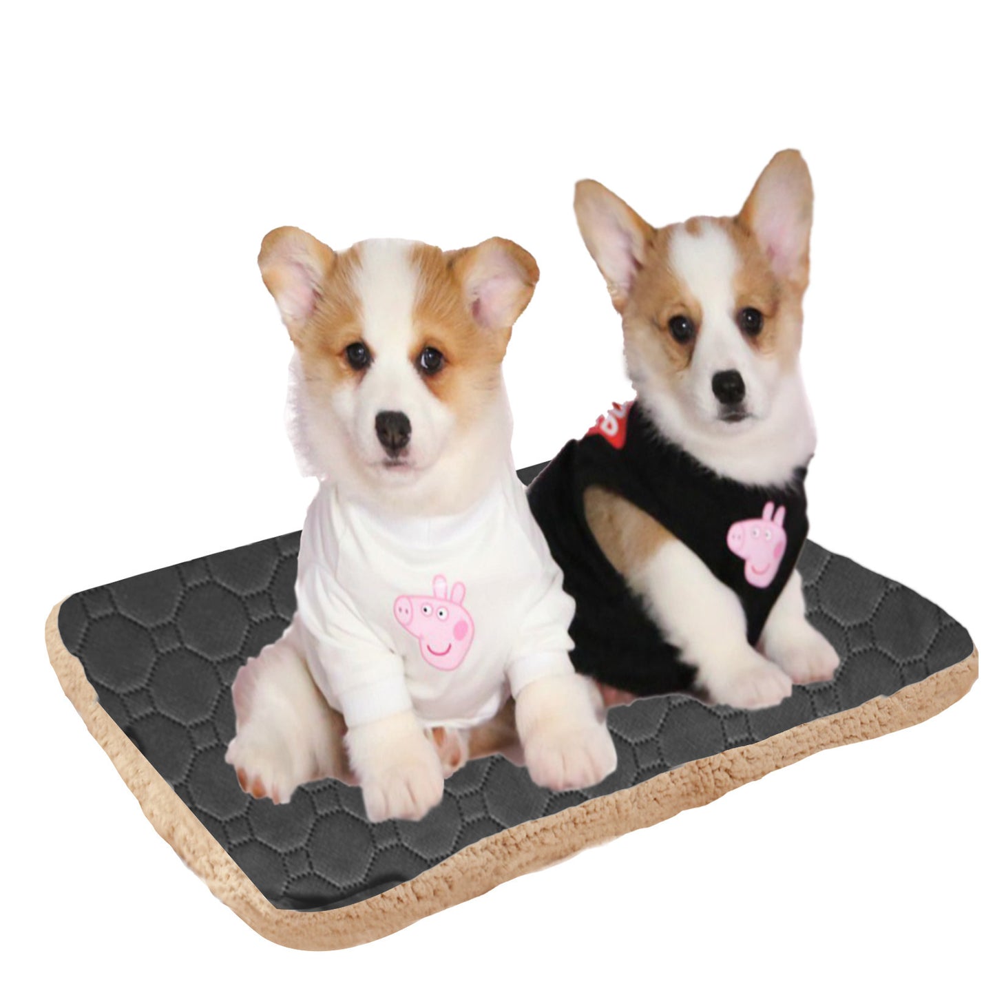 Three Layers Of Pet Mats That Quickly Absorb Sweat And Keep Warm