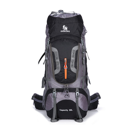 Traveling backpacks