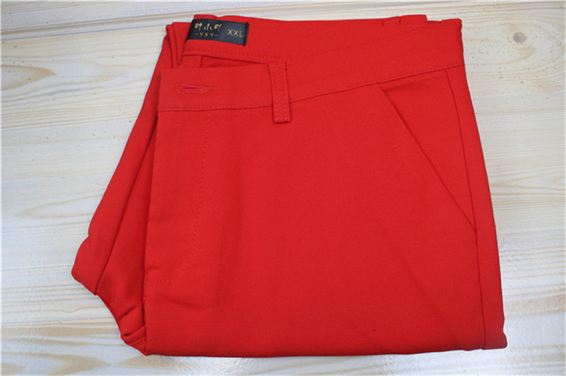 Women's Big Size Formal Office Pencil Pants
