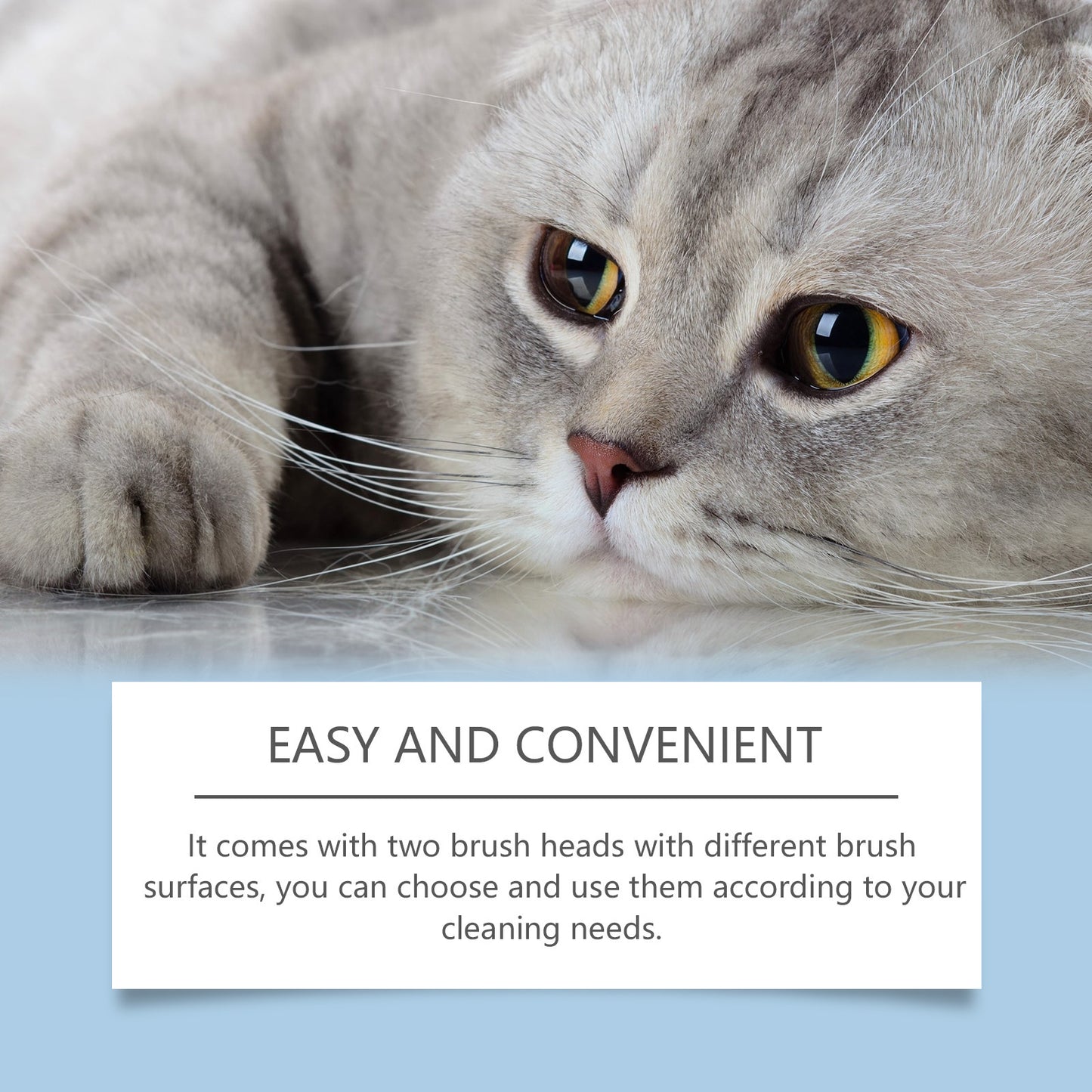 Gentle Cleaning Dogs And Cats Mouth Decontamination Maintenance Cleaning Solution