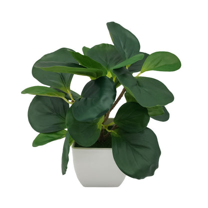 Living Room Home Decoration Ornaments Bonsai Decoration