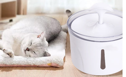 Pet Water Dispenser - Intelligent Automatic Circulating Filter Water Dispenser