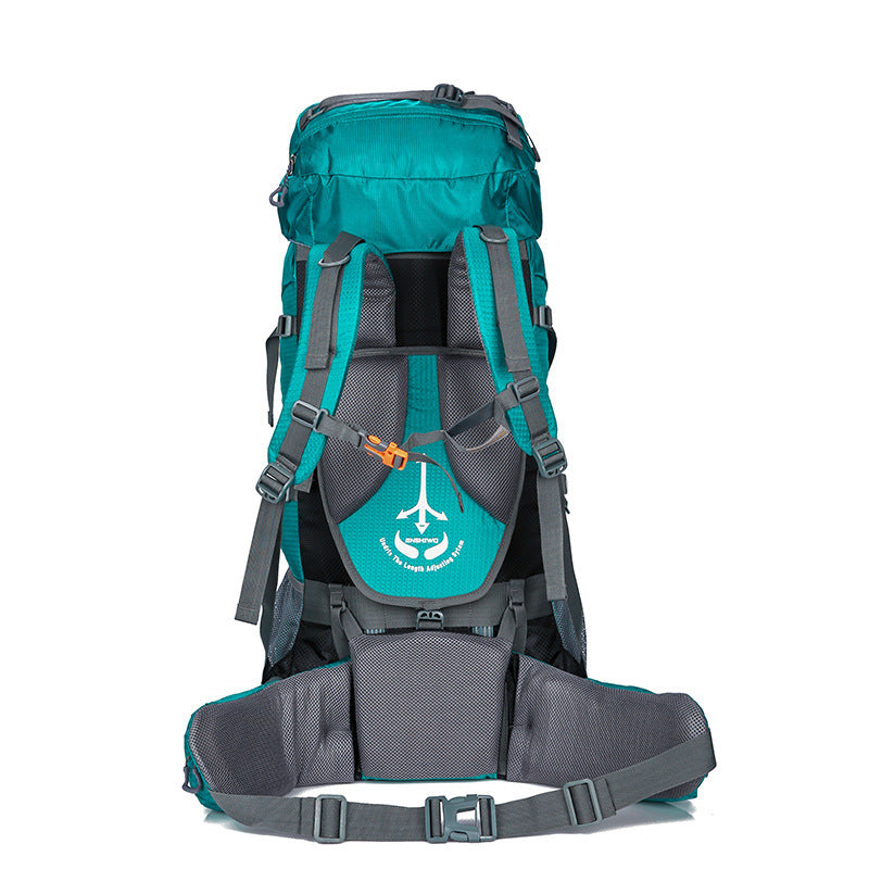 Traveling backpacks