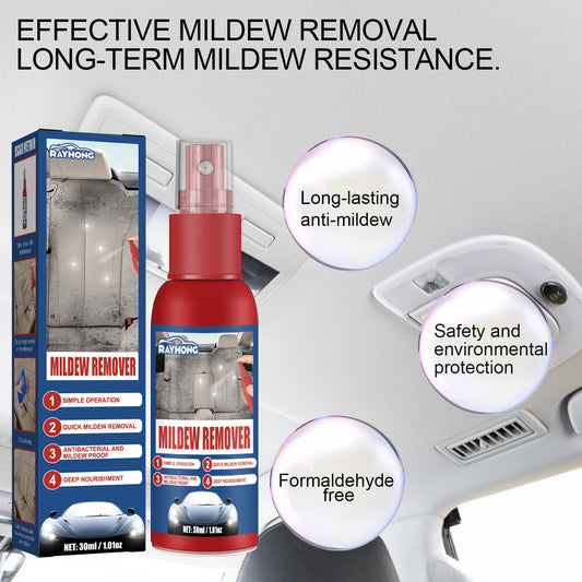 Cleaning And Maintenance Car Interior Mould Removal Spray