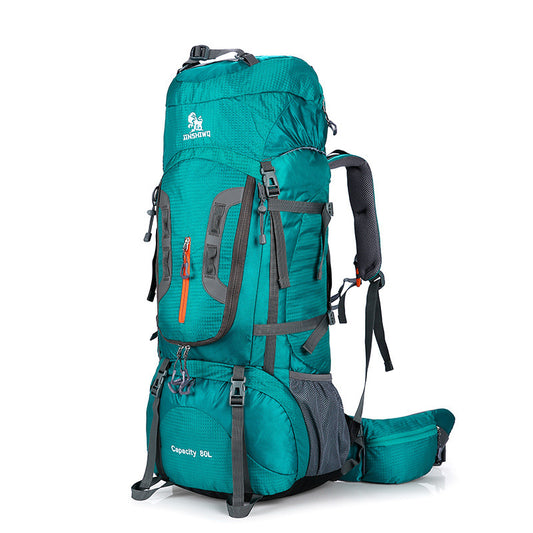 Traveling backpacks