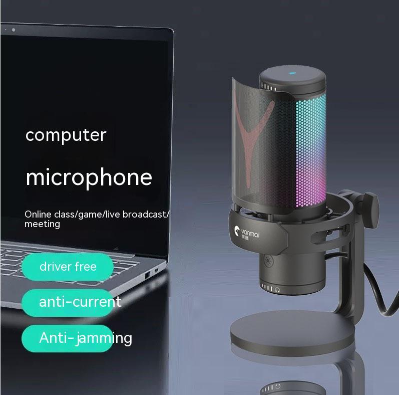 Monitor Function Type-C Computer Dual Interface Microphone – Smile E Store